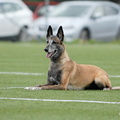310514_583.jpg