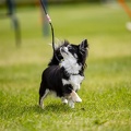 IMG 5916
