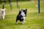 IMG 5916