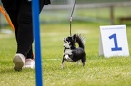 IMG 5972