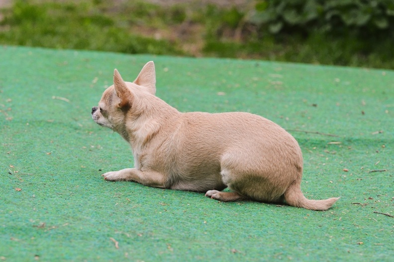 DSC 5110